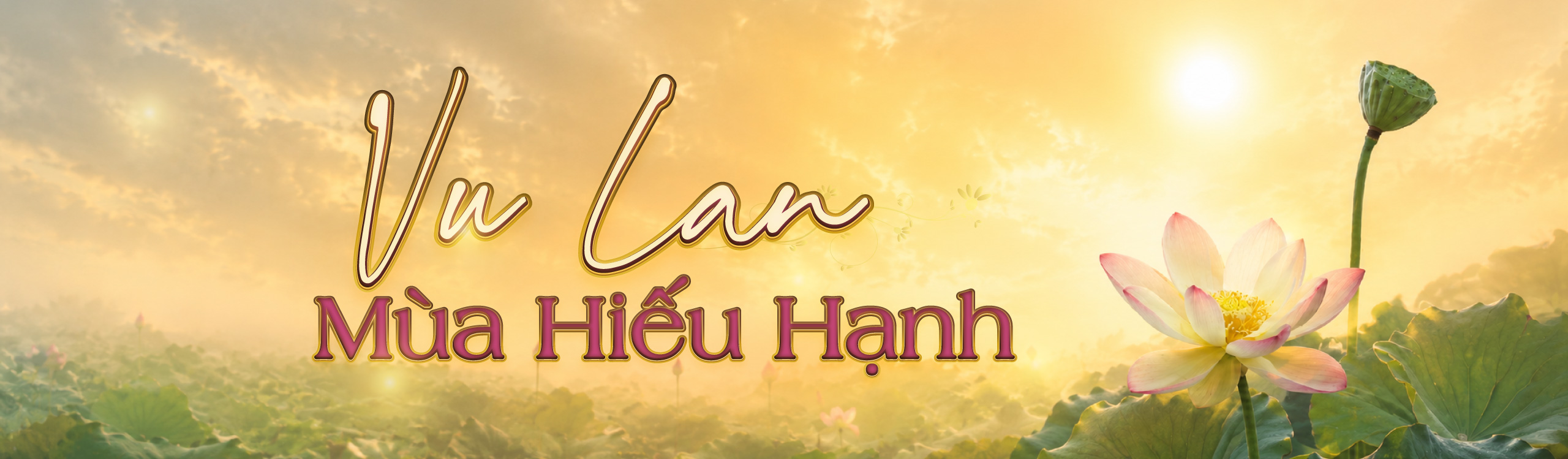value_page_home_banner