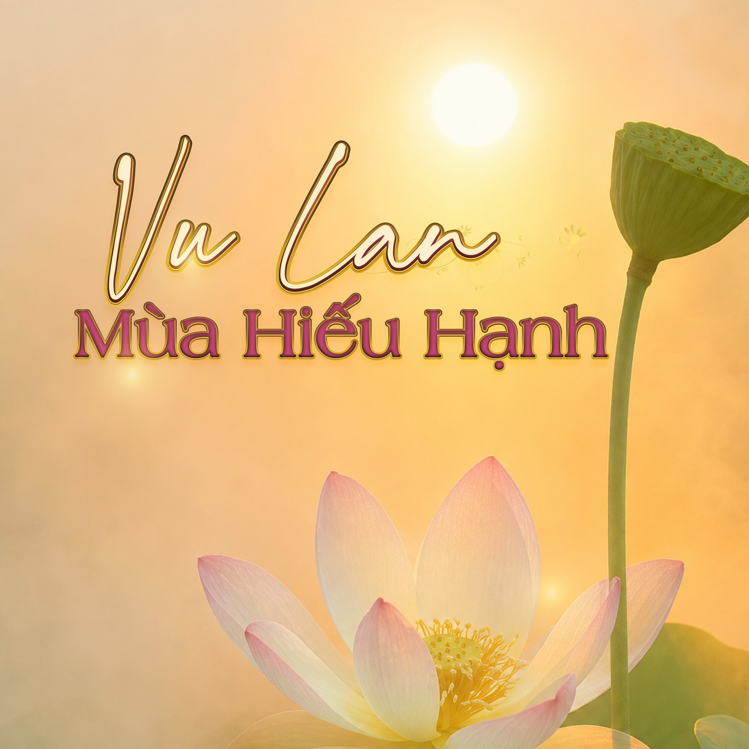 value_page_home_banner